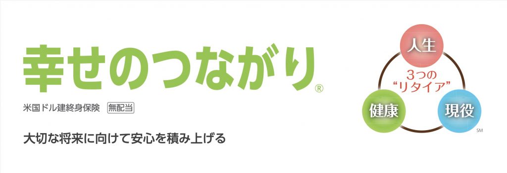 ジブラルタ生命　米国ドル建終身保険（無配当）　終身保険　ドル建て　返戻率　パンフレット　シミュレーション　解説