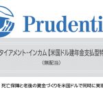 プルデンシャル生命 米国ドル建リタイアメント・インカム 米国ドル建年金支払型特殊養老保険〔無配当〕 プルデンシャル生命 リタイアメントインカム 米国ドル建年金支払型特殊養老保険 パンフレット 払済