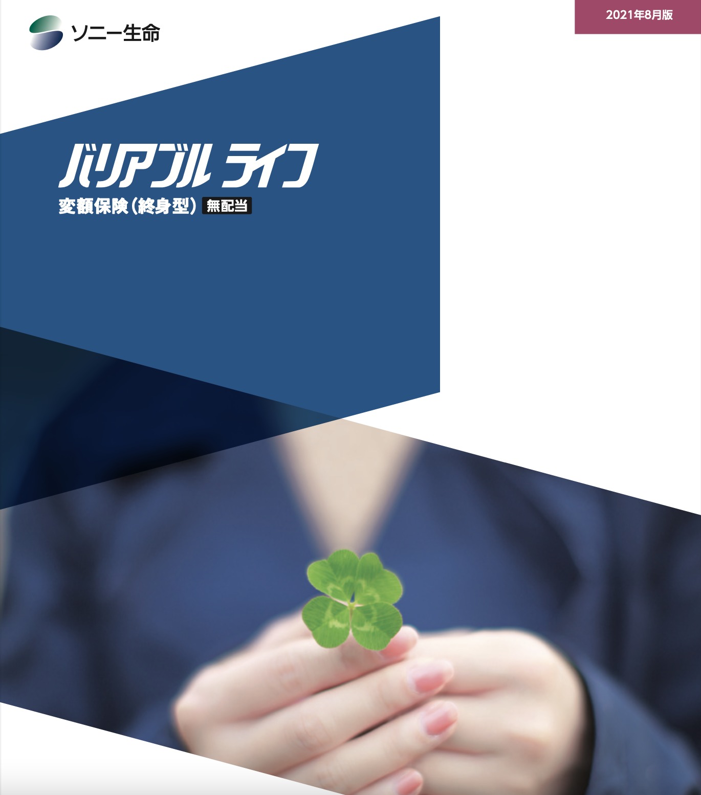 ソニー生命 バリアブルライフ 変額保険(終身型)〔無配当 ソニー生命 バリアブルライフ 変額保険(終身型)〔無配当
